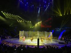 -珠海横琴长隆《卡卡虎奇遇记》