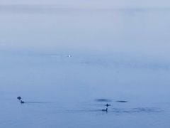 -北京天湖会议中心