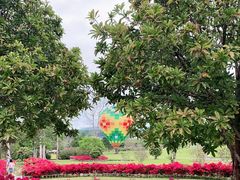 -中国科学院西双版纳热带植物园