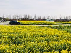 -上海都市菜园