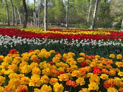 -国家植物园南园