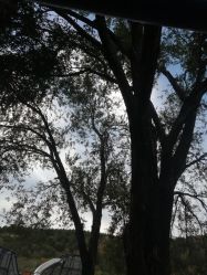 -浅山蜜塘奇妙乐园·亲子营地