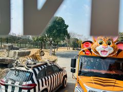 -上海野生动物园老虎餐厅