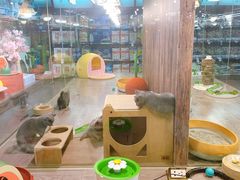 -宠物世家(仲盛世界商城店)