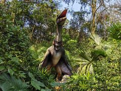 -海南热带野生动植物园