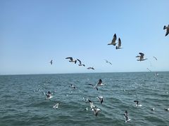 -大连海昌东方水城