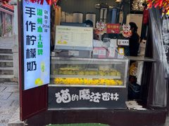 -猫的魔法密林(衣裳街店)