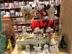 -猫的天空之城概念书店(西塘古镇店)