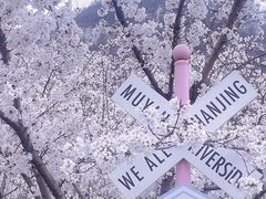 -幕燕滨江·长江观音景区