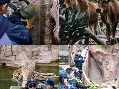 -长鹿旅游休博园
