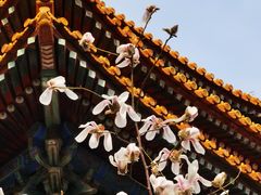 -东华门大街小区