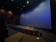 -金逸影城(大悦城IMAX激光店)
