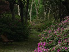 -上海滨江森林公园