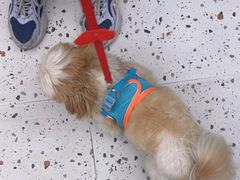 -瑞派康怡24h宠物医院·犬猫医疗中心·微创绝育(瑞景分院)