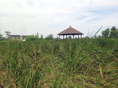 -梁鸿国家湿地公园