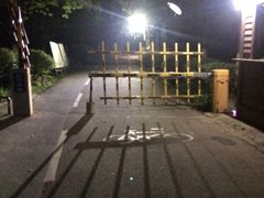 -艾溪湖湿地公园