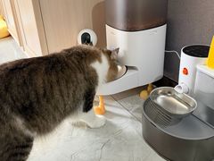 -PETKIT 小佩宠物·低压洗护·美容·寄养(安远店)