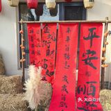 📌梧桐树下的咖啡☕｜不光香还超级浪漫