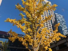 -香满园春饼·家常菜(东大桥店)