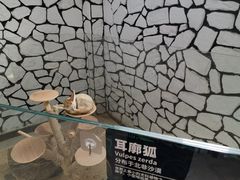 -海合安武汉极地海洋公园