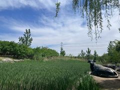 -马家湾湿地公园