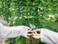 -台州府城(东湖)