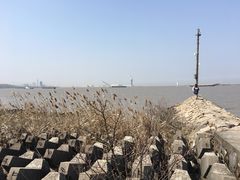 -上海滨江森林公园