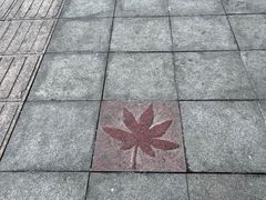 -香山公园