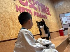 -和它·交个朋友·狗咖猫咖(爱琴海店)