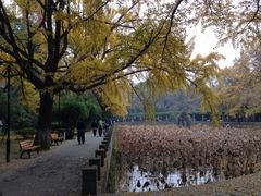 iphone_upload_pic-四川大学(华西校区)