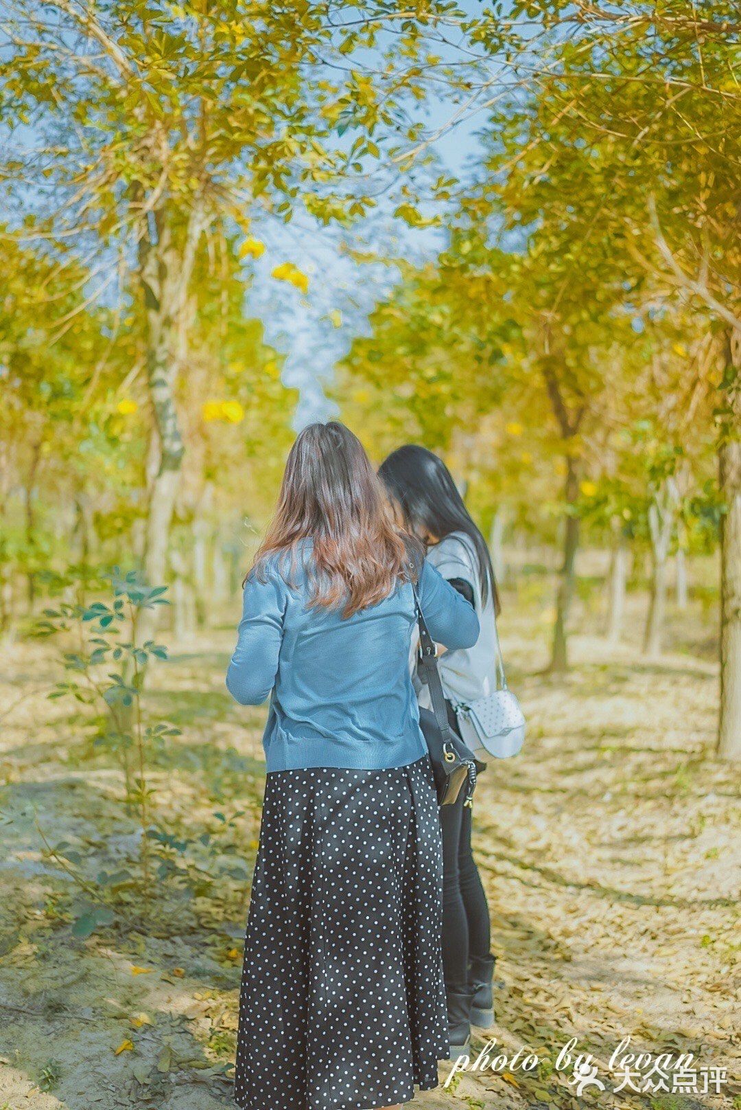 惠州周边游｜春节快乐的好去处[调皮]