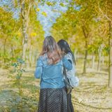 惠州周边游｜春节快乐的好去处[调皮]