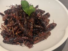 -燕春楼(海河华鼎店)