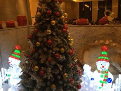 -常州环球恐龙城维景国际大酒店