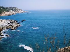 -广东惠东海龟国家级自然保护区