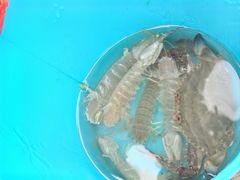 -日照世帆赛基地