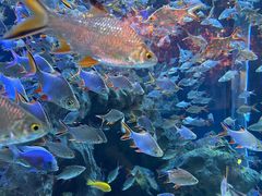 -成都浩海立方海洋公园