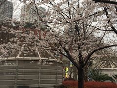 -上海体育场(地铁站)