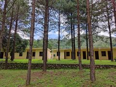 -海南热带雨林国家公园吊罗山景区