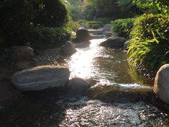 -中华郡文化旅游景区