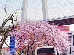 -南浦大桥长途旅游客运站