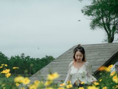 -春花秋色城市公园