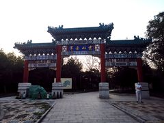 -云岗森林公园