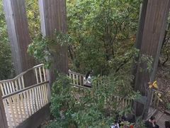 -帽儿山国家森林公园