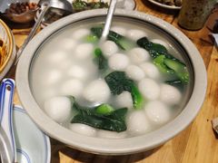-椿不老