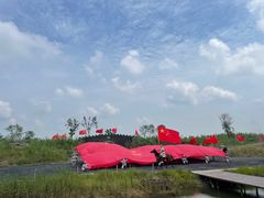 -泗洪洪泽湖湿地景区