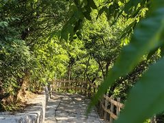 -大岭沟猕猴桃谷风景区