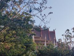 -西双版纳总佛寺