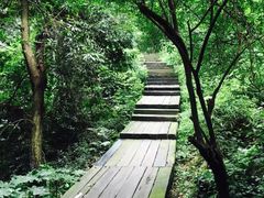 -杭州半山国家森林公园