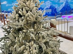 -世界之窗阿尔卑斯冰雪世界